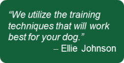 Training_Quote3